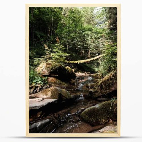 tranquil forest with flowing river and stones 