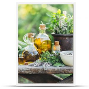 Fresh herbs from the garden and the different types of oils for massage and aromatherapy.