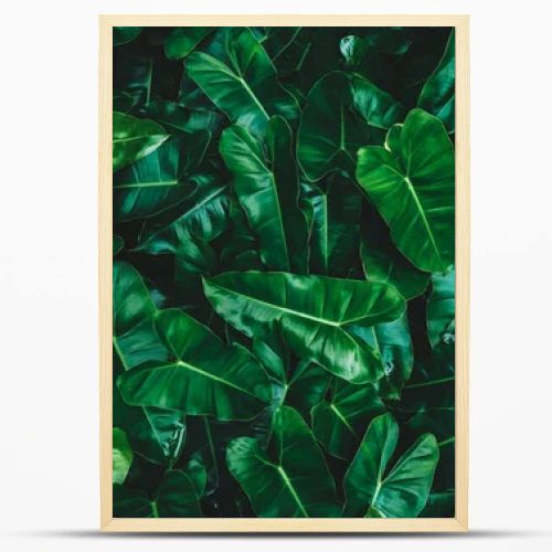 tropical leaf, abstract green texture, nature background Green leaves pattern background,