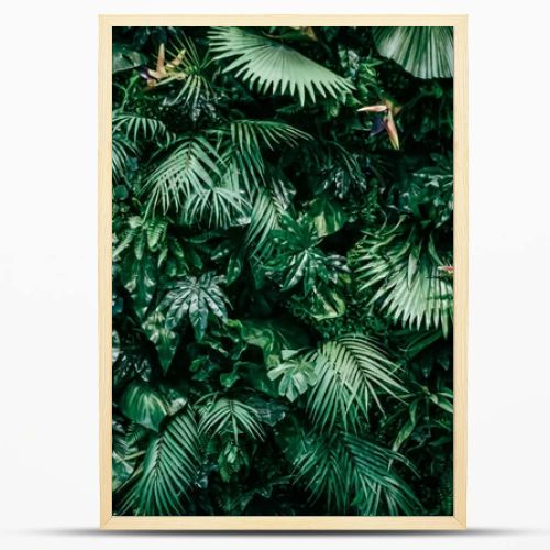 Tropical leaves as nature and environmental background, botanical garden and floral backdrop, plant growth and landscape design