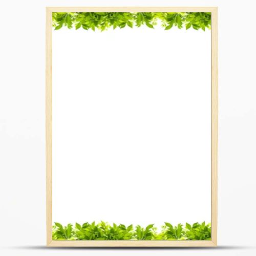 leaves frame isolated on white background