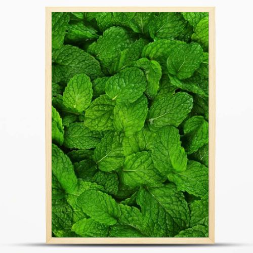 Mint leaves background.