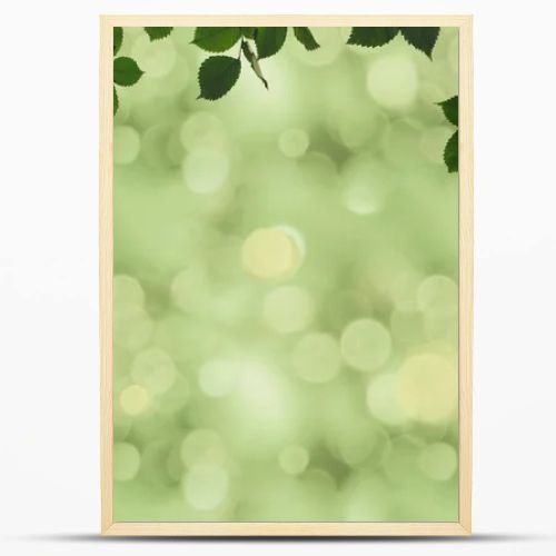 green foliage and bokeh