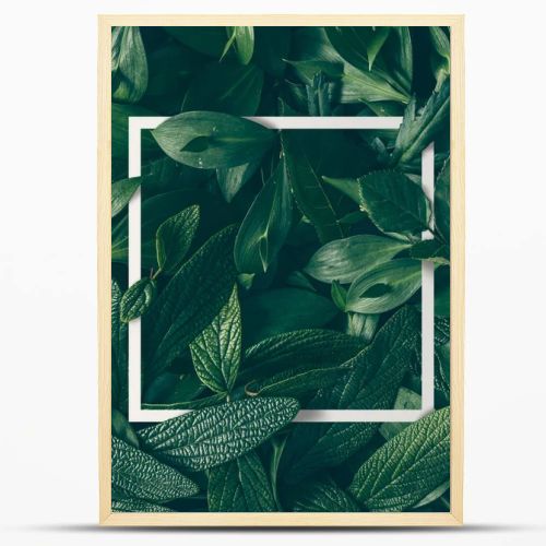 green leaves with paper card border 