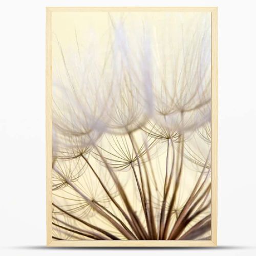 dandelion seed background. Seed macro closeup. Spring nature