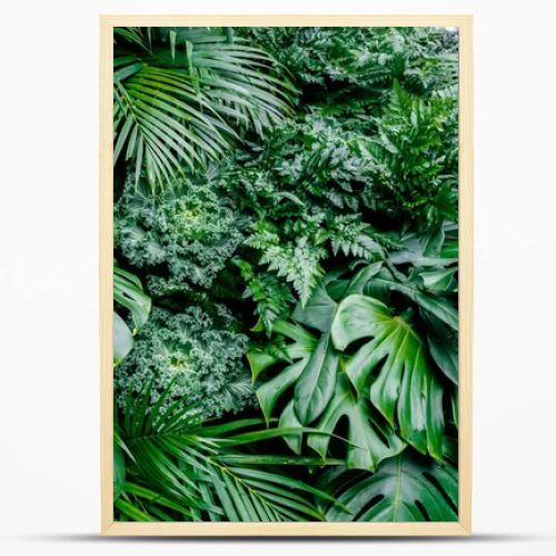 Tropical green leaves background, fern, palm and Monstera Deliciosa leaf on wall with dark green, floral jungle pattern concept background, close u