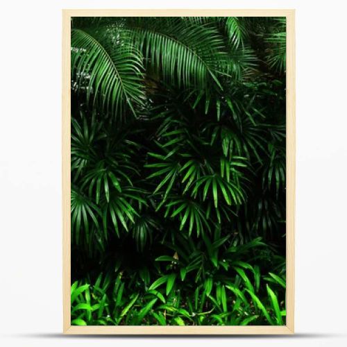 Vertical garden with tropical green leaf, contrast