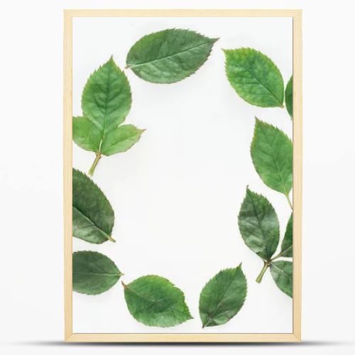 top view of circular composition with green leaves isolated on white