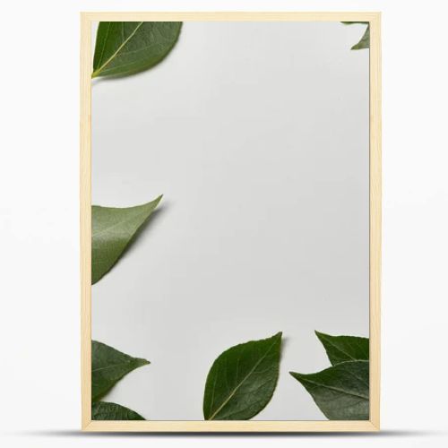 green fresh leaves scattered on white background with copy space