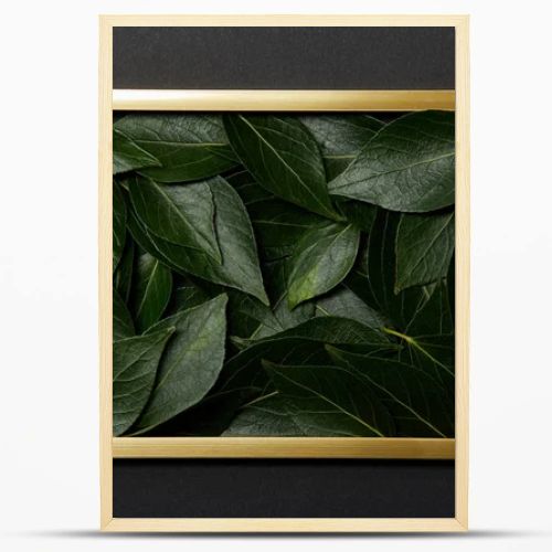 top view of golden frame with green leaves inside on black background
