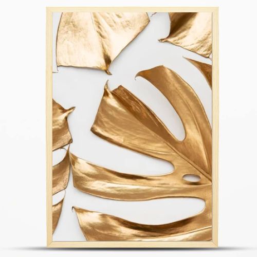 Artistic arrangement of real monstera leaves painted with gold paint on white background. Creative tropical pattern. Luxury summer concept.