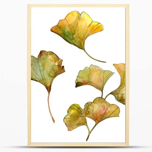 Yellow and green ginkgo biloba isolated leaves. Watercolor background illustration set. 