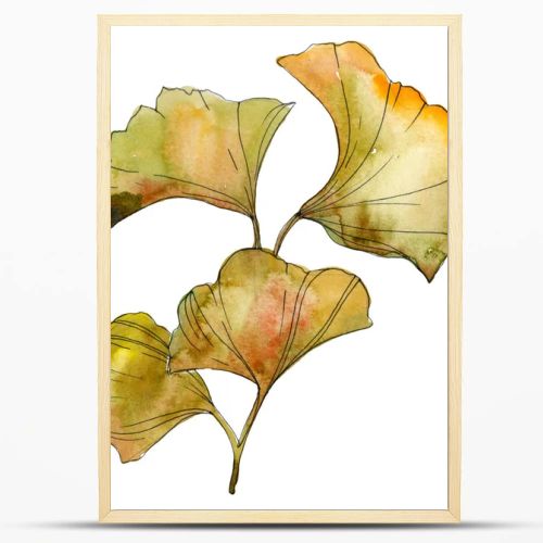 Yellow and green ginkgo biloba isolated leaves. Watercolor background illustration set. 