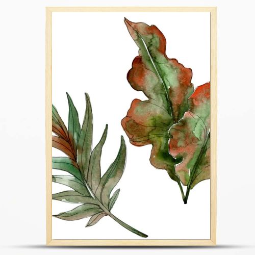 Exotic tropical green palm leaves. Watercolor illustration set. 
