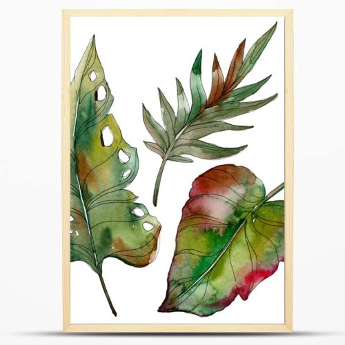 Exotic tropical isolated green palm leaves. Watercolor illustration set. 