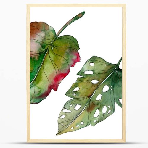 Exotic tropical green palm isolated leaves. Watercolor background illustration.