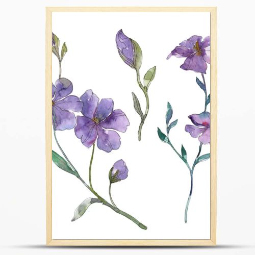 Blue and purple flax floral botanical flower. Wild spring leaf wildflower isolated. Watercolor background illustration set. Watercolour drawing fashion aquarelle. Isolated flax illustration element.