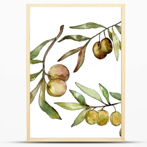 Green olives watercolor background illustration set. Watercolour drawing fashion aquarelle isolated. Isolated olives illustration element.