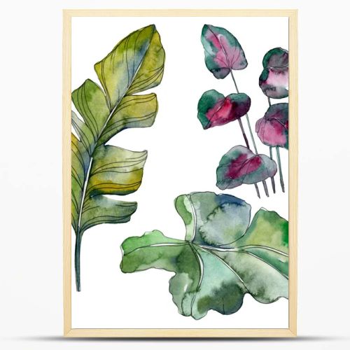 Green leaf plant botanical garden floral foliage. Exotic tropical hawaiian summer. Watercolor background illustration set. Watercolour drawing fashion aquarelle. Isolated leaf illustration element.