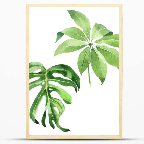 Exotic tropical hawaiian green palm leaves isolated on white. Watercolor background set. 