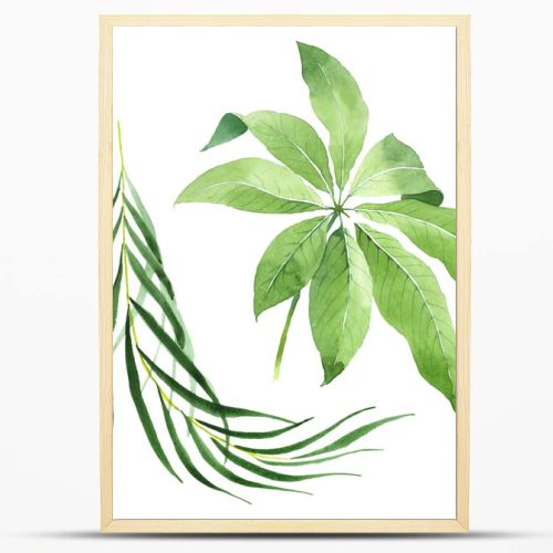 Exotic tropical hawaiian green palm leaves isolated on white. Watercolor background set. 