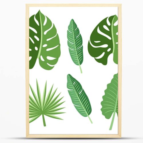 Vector tropical leaves set.