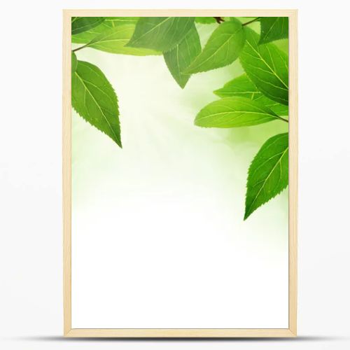 Green leaves border with copy space