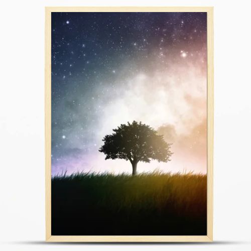 Single tree space background