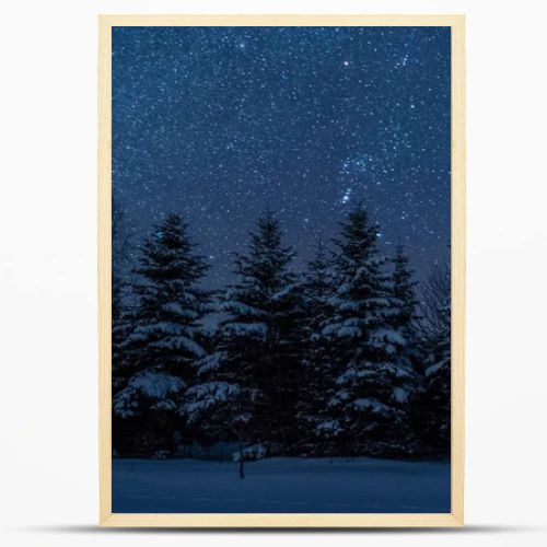 dark sky full of shiny stars in carpathian mountains in winter forest at night