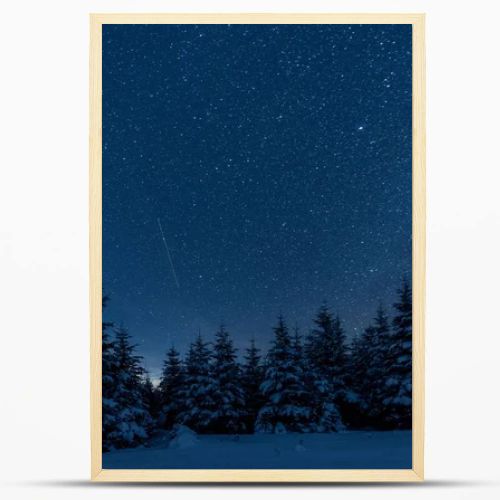 dark sky full of shiny stars in carpathian mountains in winter forest at night