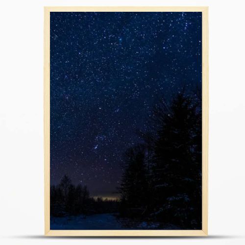 starry dark sky and trees in carpathian mountains at night in winter