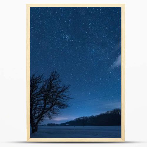 starry dark sky and tree in carpathian mountains at night in winter