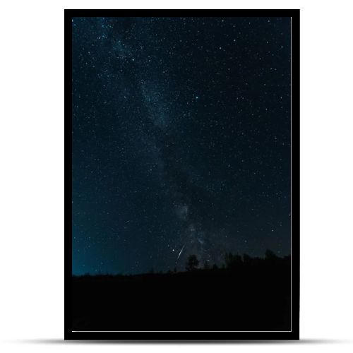 milky way on sky in dark forest at night 