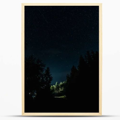 blue night sky with shining stars near trees 