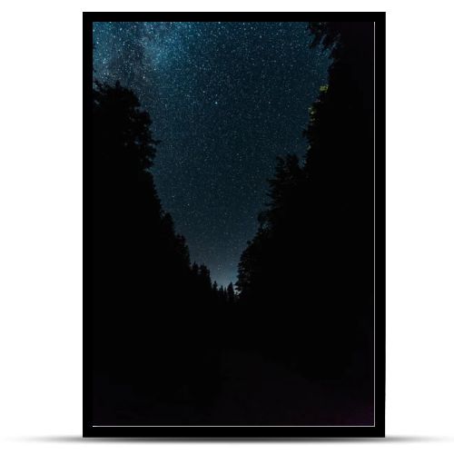 night sky with stars shine in forest at night 