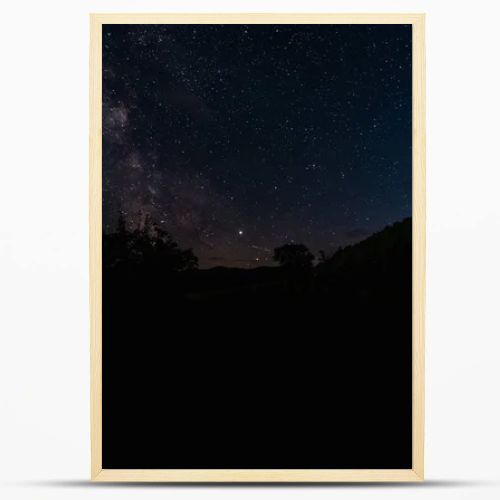 night sky with stars shine in woods at night 