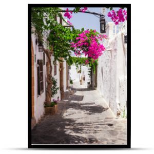 Wąska ulica w mieście Lindos na wyspie Rodos Dodekanez Grecja Piękne malownicze stare starożytne białe domy z kwiatami Znani