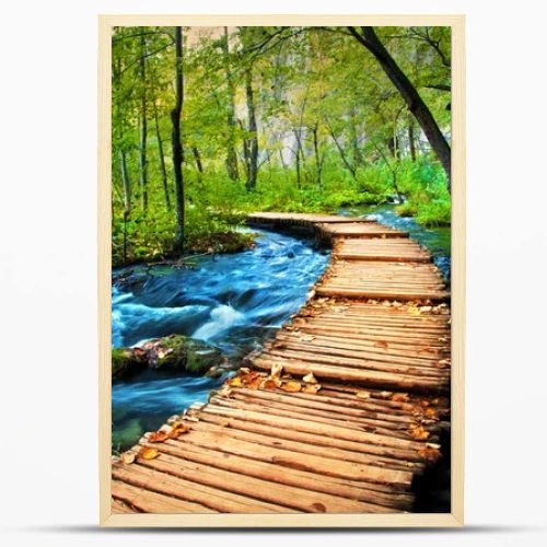 Deep forest stream. Crystal clear water.