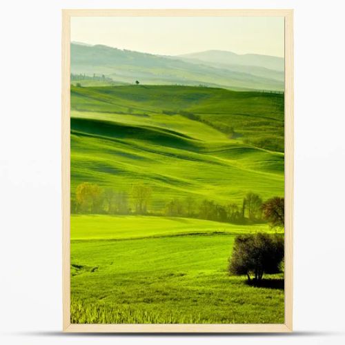 Countryside, San Quirico Orcia , Tuscany, Italy