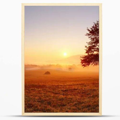 Alone tree on meadow at sunset with sun and mist - panorama