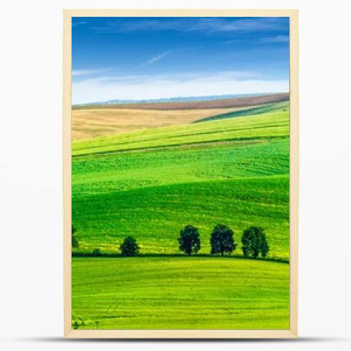 Rolling landscape of South Moravia with trees.