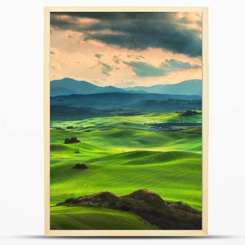 Tuscany spring, rolling hills on sunset. Rural landscape. Green 