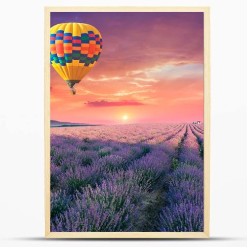 Lavender field summer sunset landscape near Valensole.Provence,France