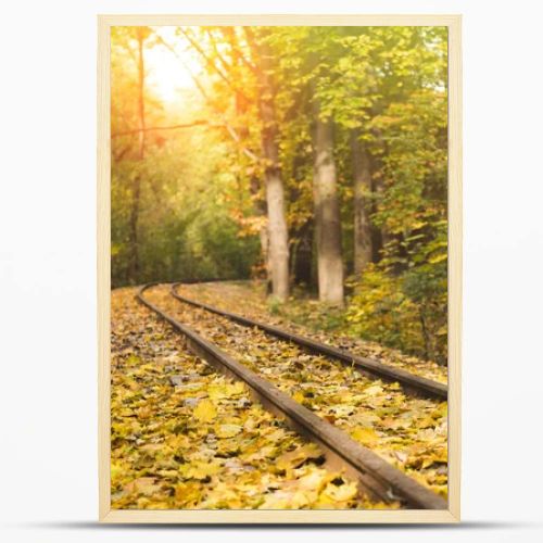 railroad in autumn forest