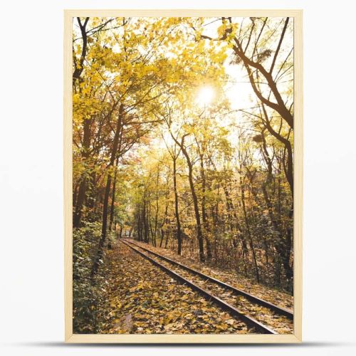 railroad in autumn forest