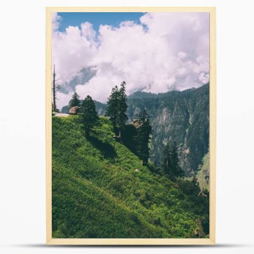 beautiful trees and road with car in scenic mountains, Indian Himalayas, Rohtang Pass  