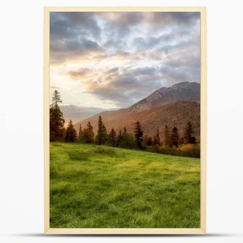 Beautiful summer landscape in the mountains. Sunrise