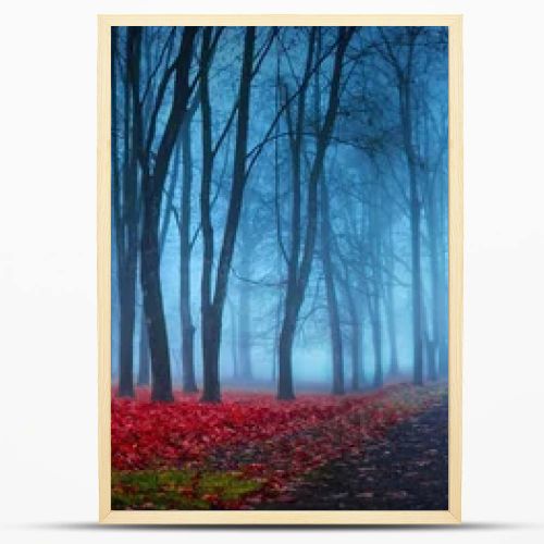 Beautiful Mystical Forest In Blue Fog In Autumn