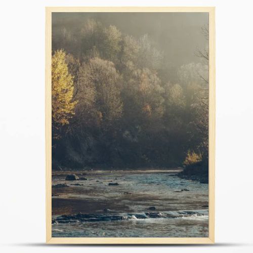 dramatic shot of mountain river and beautiful golden trees, Carpathians, Ukraine