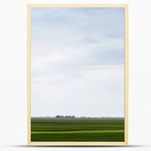 cloudy sky near green grass on field 